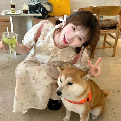 寻找爱丽丝吉
